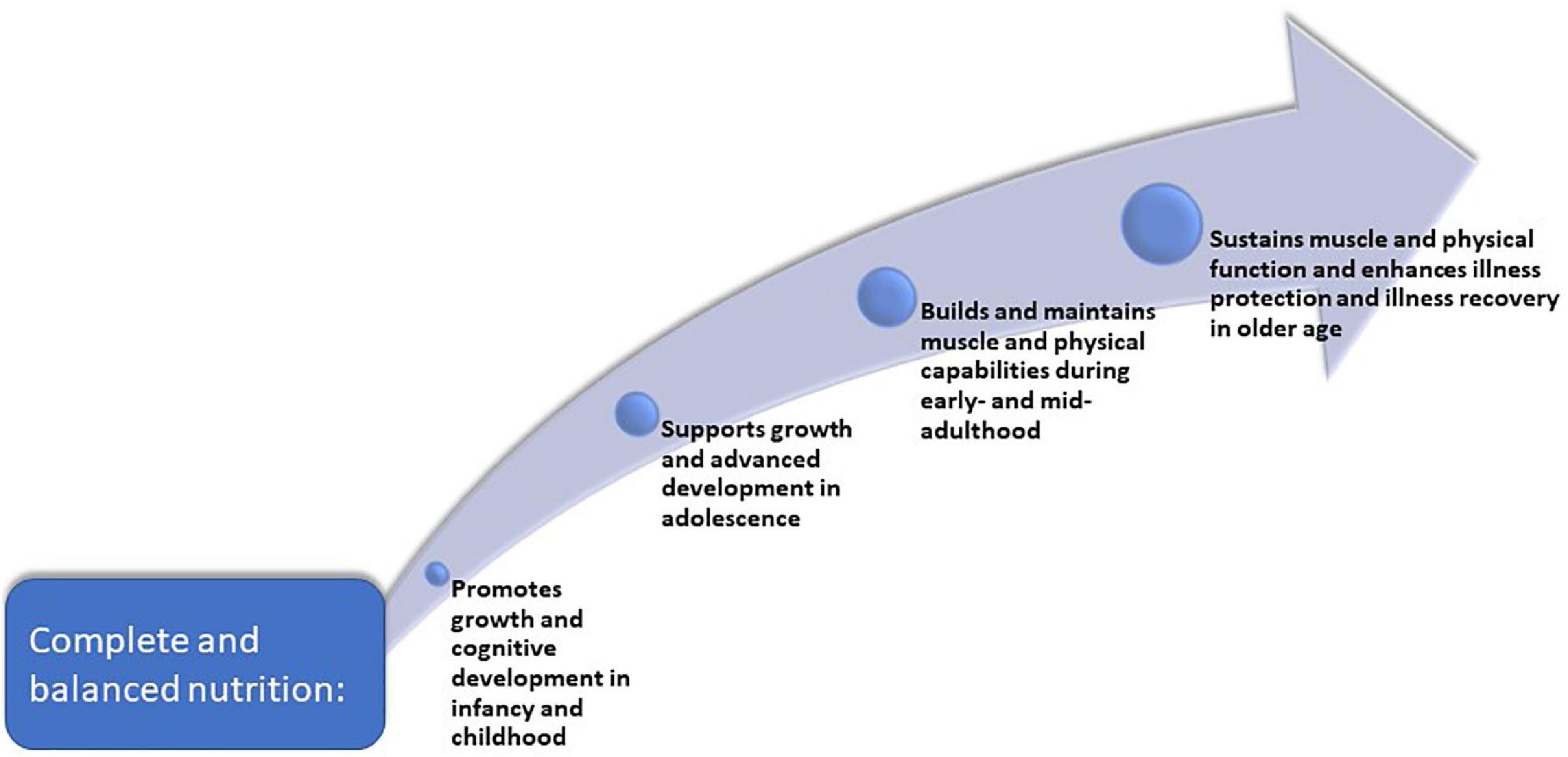 Good nutrition across the lifespan is foundational for healthy aging and sustainable development
